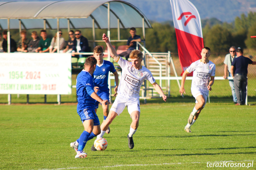 Partyzant MAL-BUD 1 Targowiska - Tempo Nienaszów 3-0 