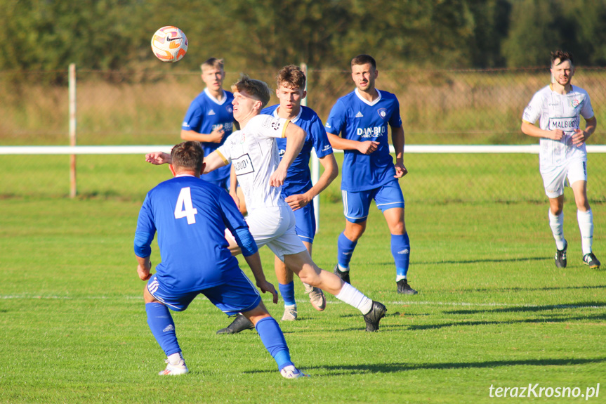 Partyzant MAL-BUD 1 Targowiska - Tempo Nienaszów 3-0 