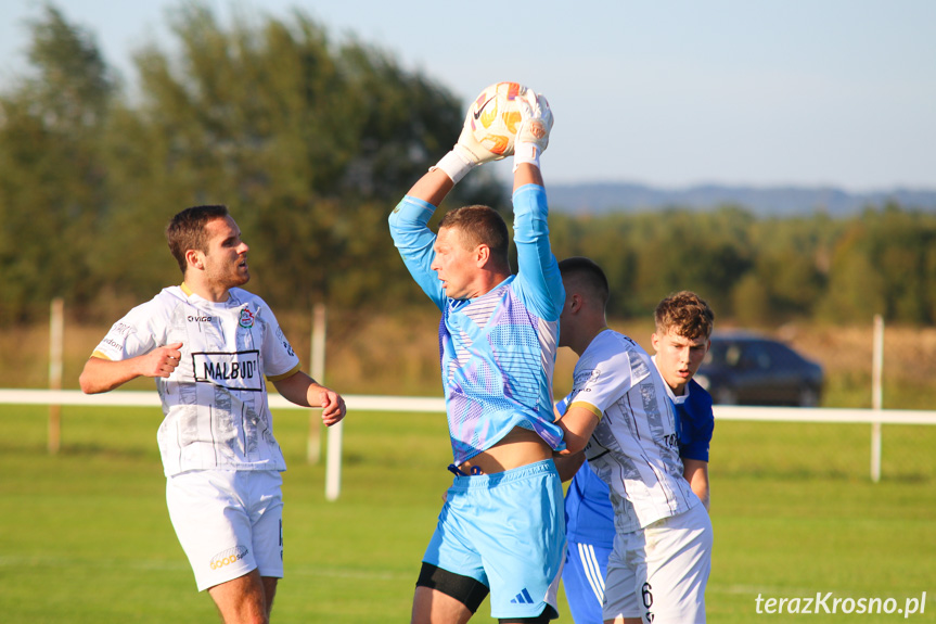 Partyzant MAL-BUD 1 Targowiska - Tempo Nienaszów 3-0 