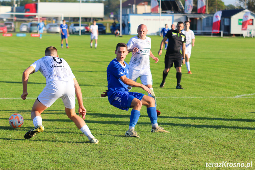 Partyzant MAL-BUD 1 Targowiska - Tempo Nienaszów 3-0 