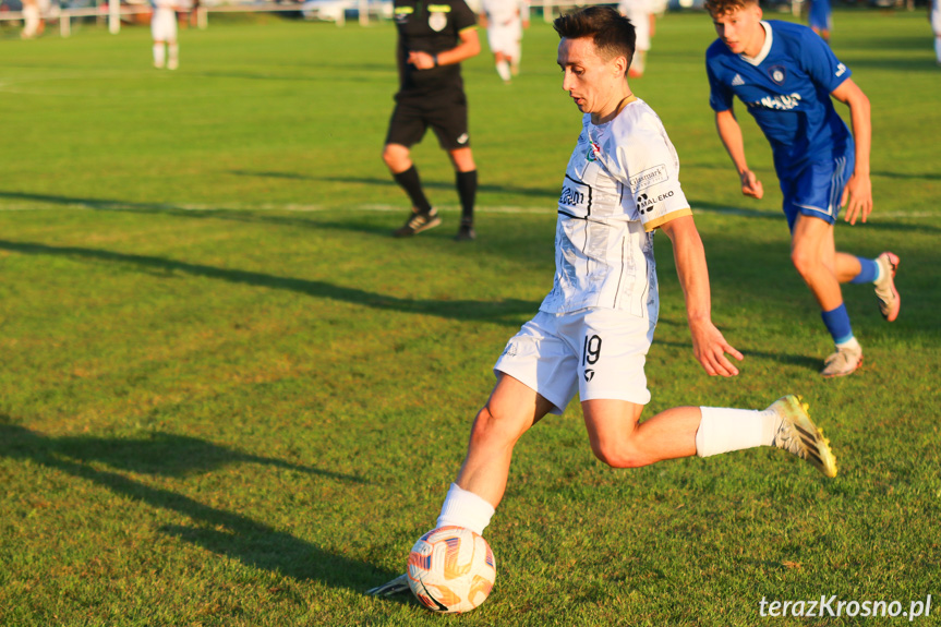 Partyzant MAL-BUD 1 Targowiska - Tempo Nienaszów 3-0 