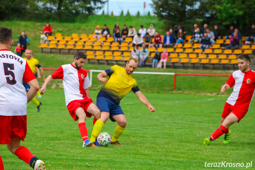 Piastovia Miejsce Piastowe - Dwór Kombornia 4:1