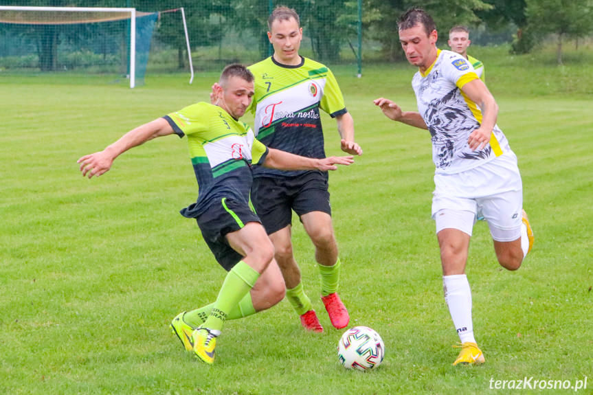 Piastovia Miejsce Piastowe - Grabowianka Grabówka 0:4