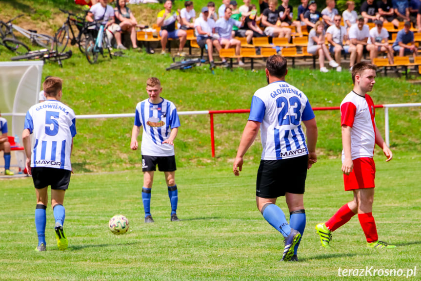 Piastovia Miejsce Piastowe - LKS Głowienka 0:1