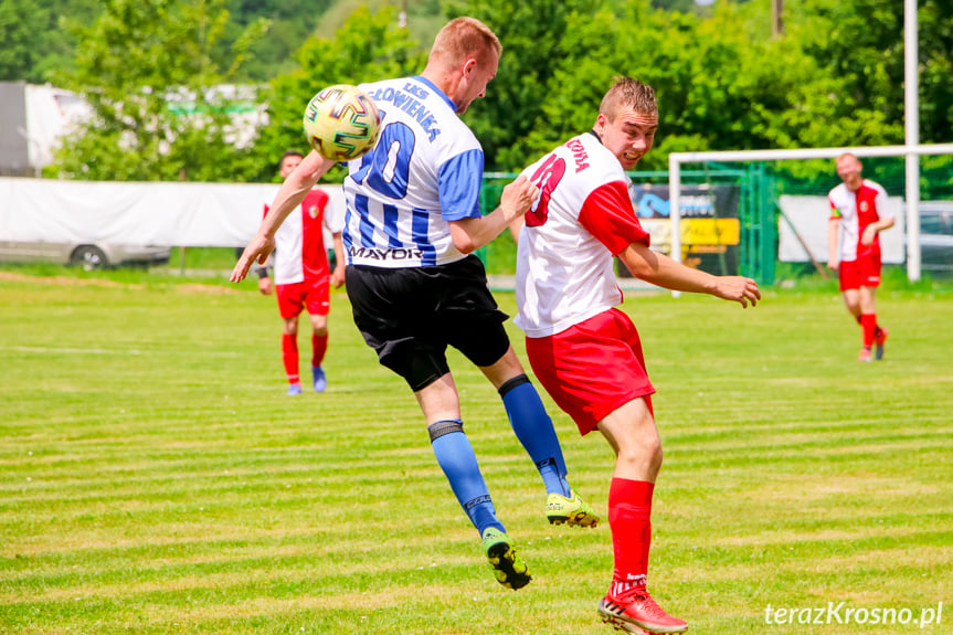 Piastovia Miejsce Piastowe - LKS Głowienka 0:1