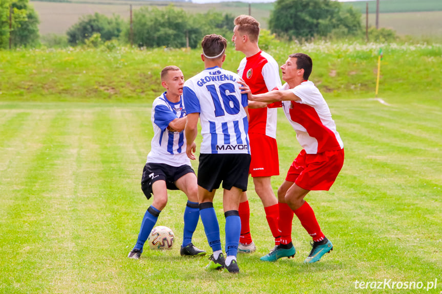 Piastovia Miejsce Piastowe - LKS Głowienka 0:1