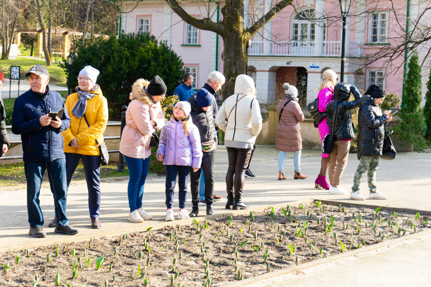 Pierwszy Zdrojowy Bieg na Szpilkach w Iwoniczu-Zdroju