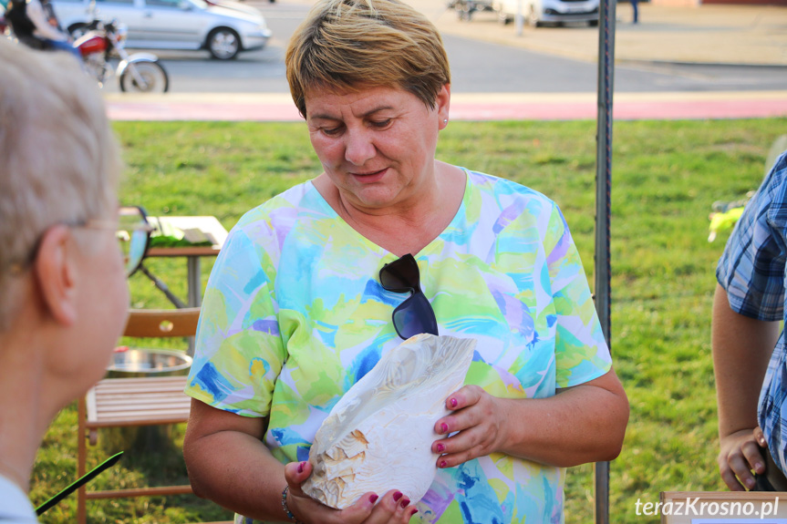 Piknik edukacyjny "Bezpiecznie Krosno".