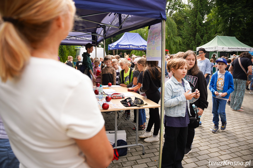 Piknik Edukacyjny w Krośnie