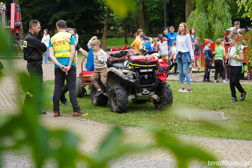 Piknik Edukacyjny w Krośnie