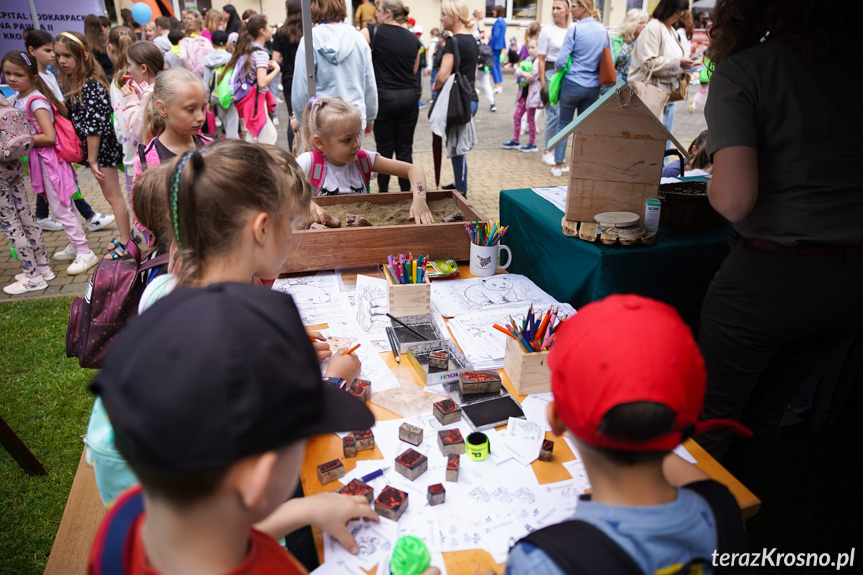 Piknik Edukacyjny w Krośnie