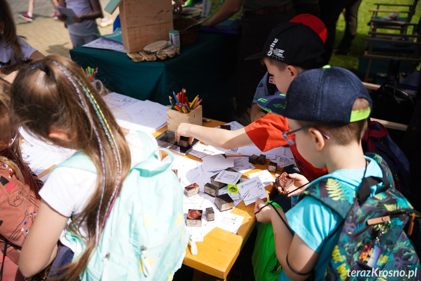 Piknik Edukacyjny w Krośnie