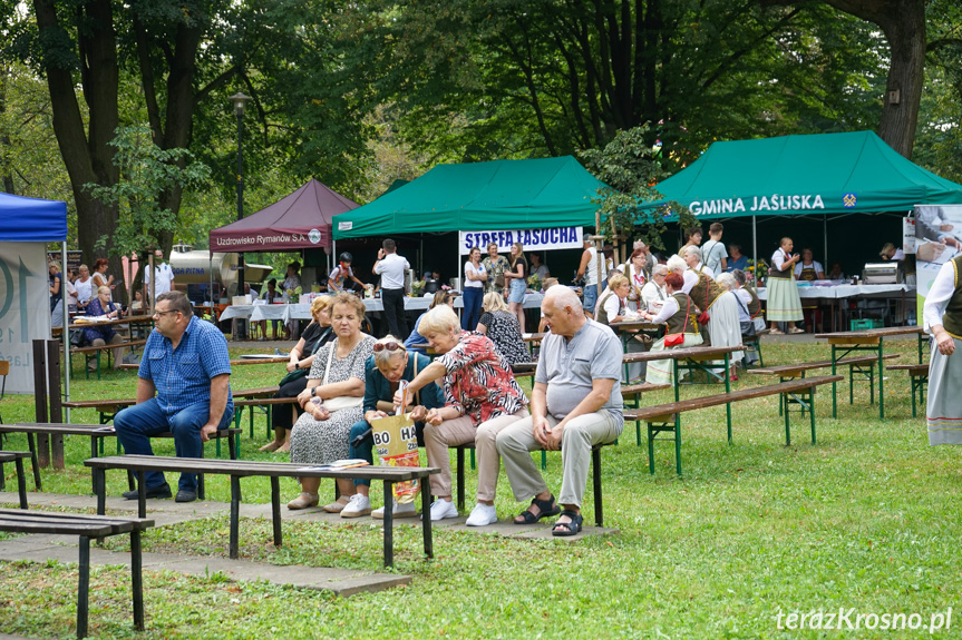 Piknik Rodzinny w Rymanowie