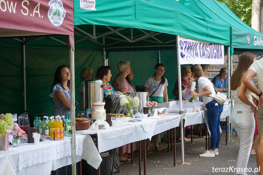 Piknik Rodzinny w Rymanowie