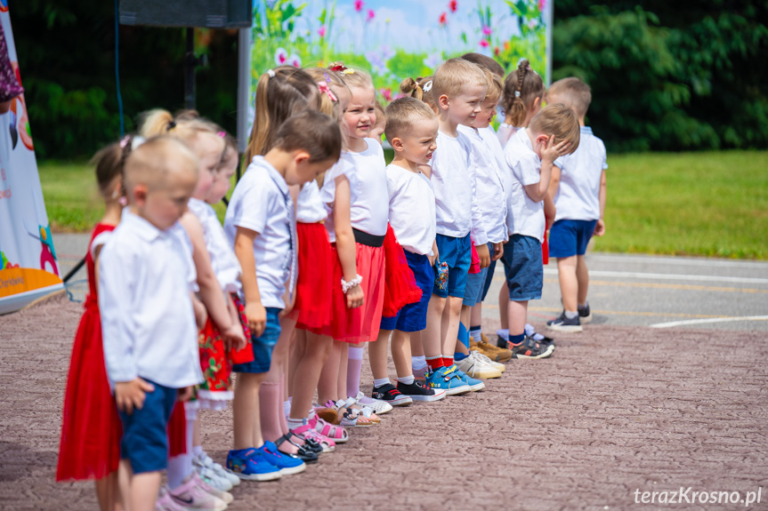 Piknik Rodzinny w Świerzowej Polskiej