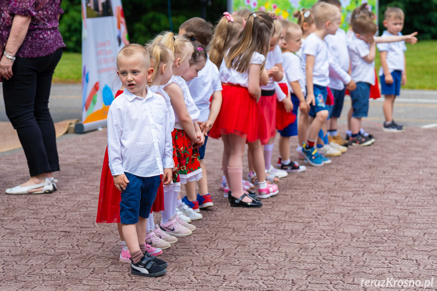 Piknik Rodzinny w Świerzowej Polskiej