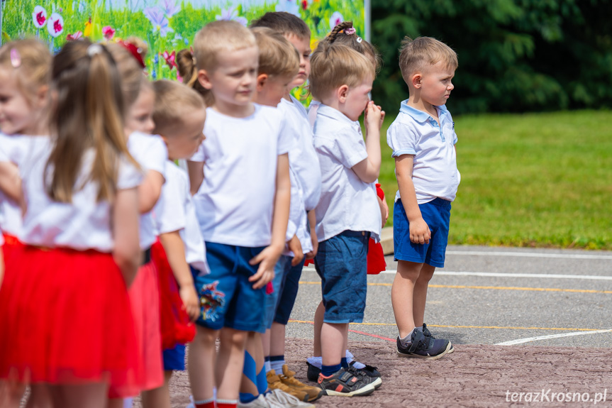 Piknik Rodzinny w Świerzowej Polskiej