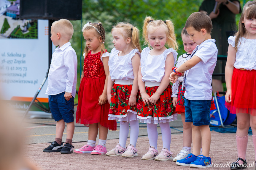 Piknik Rodzinny w Świerzowej Polskiej