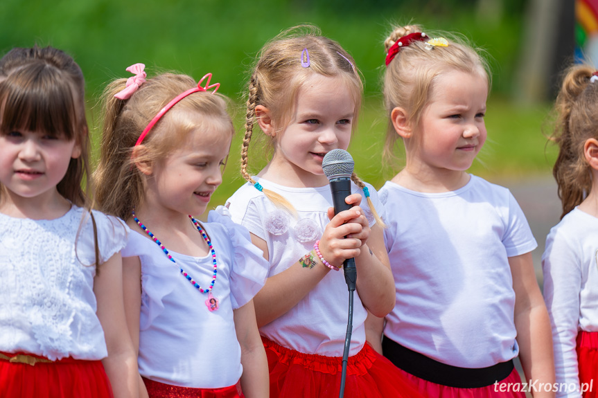 Piknik Rodzinny w Świerzowej Polskiej