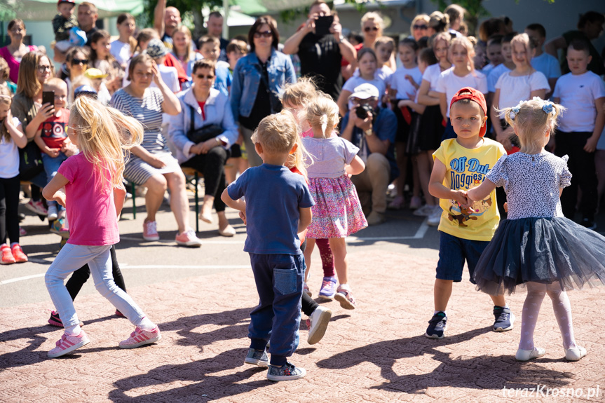 Piknik Rodzinny w Świerzowej Polskiej