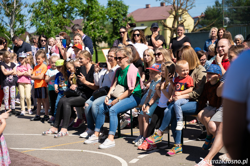 Piknik Rodzinny w Świerzowej Polskiej