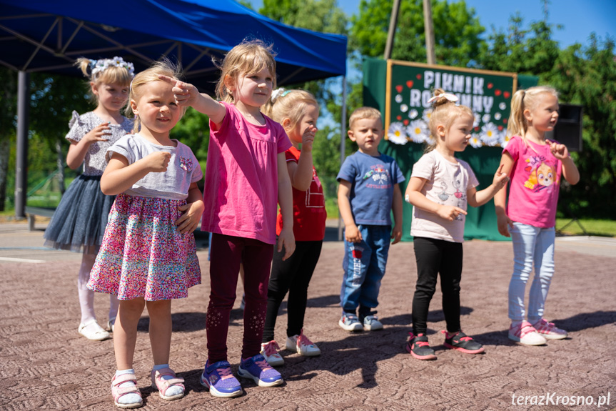 Piknik Rodzinny w Świerzowej Polskiej