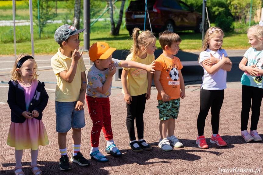 Piknik Rodzinny w Świerzowej Polskiej