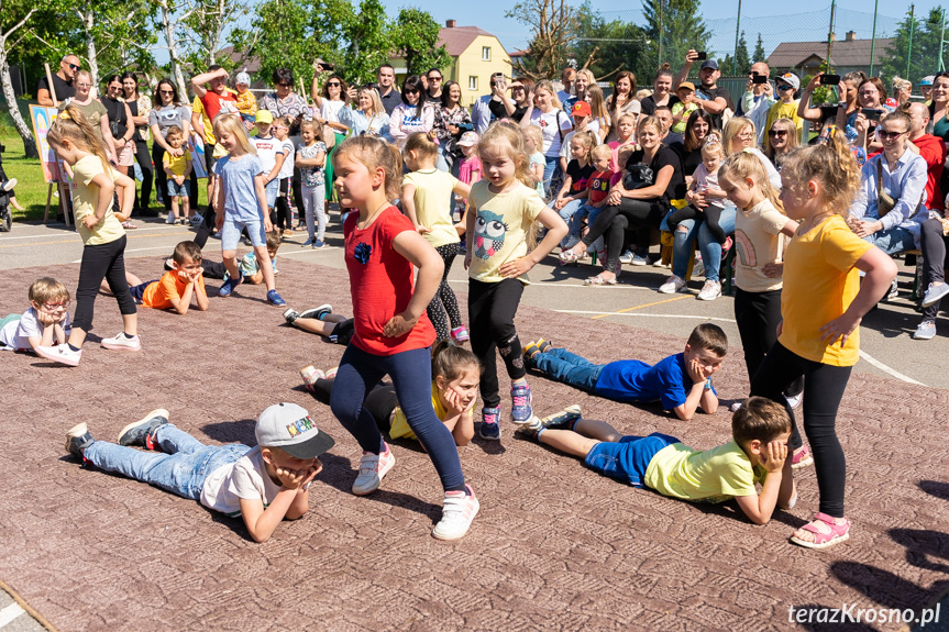 Piknik Rodzinny w Świerzowej Polskiej