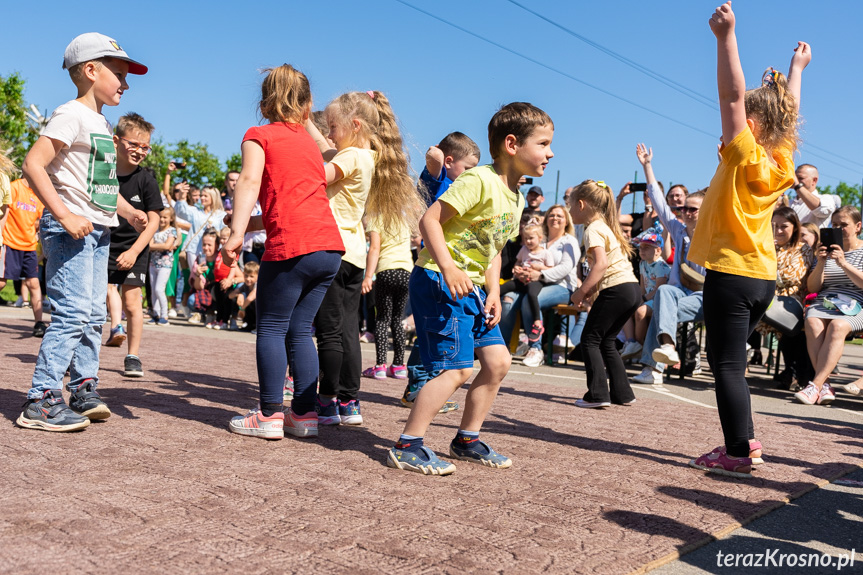 Piknik Rodzinny w Świerzowej Polskiej