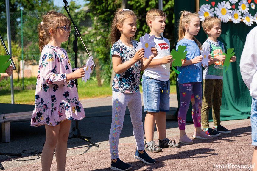 Piknik Rodzinny w Świerzowej Polskiej