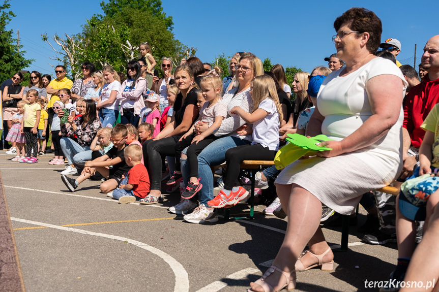 Piknik Rodzinny w Świerzowej Polskiej