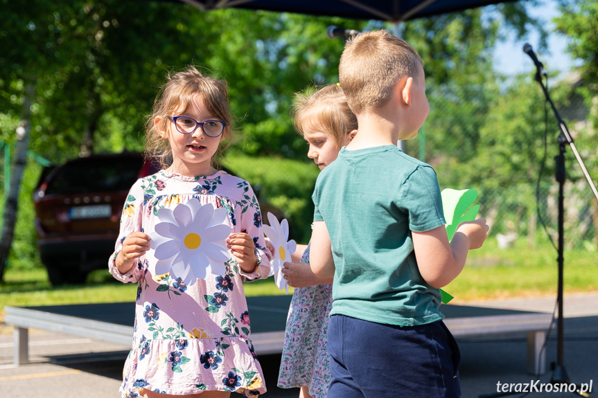 Piknik Rodzinny w Świerzowej Polskiej