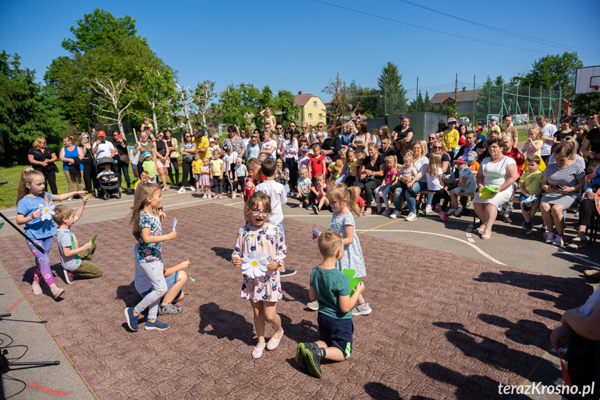 Piknik Rodzinny w Świerzowej Polskiej