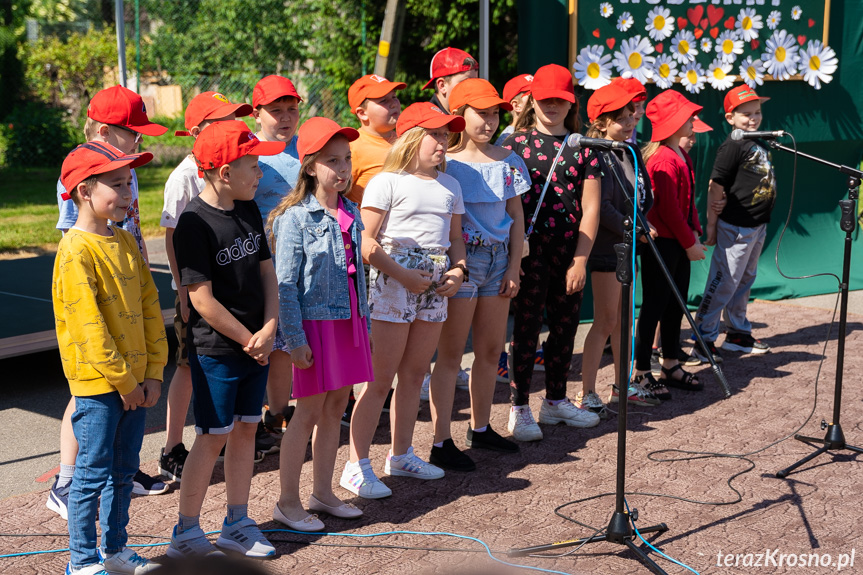 Piknik Rodzinny w Świerzowej Polskiej