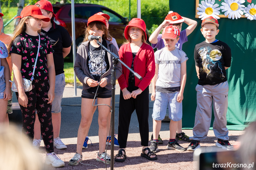 Piknik Rodzinny w Świerzowej Polskiej