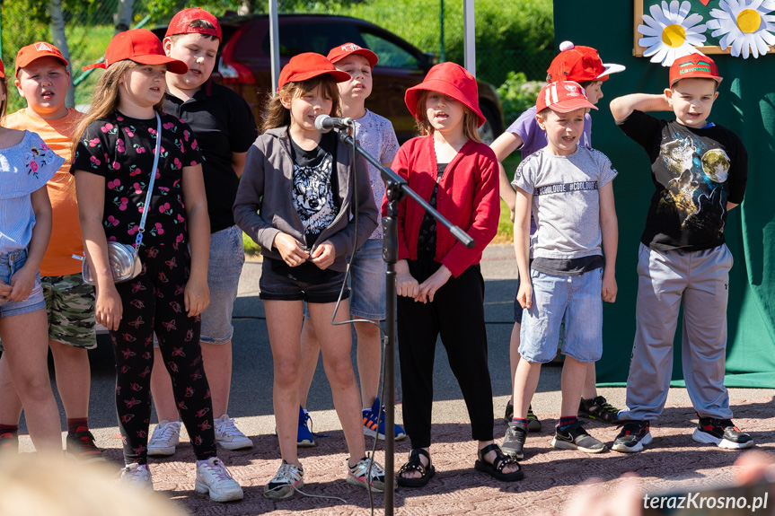 Piknik Rodzinny w Świerzowej Polskiej