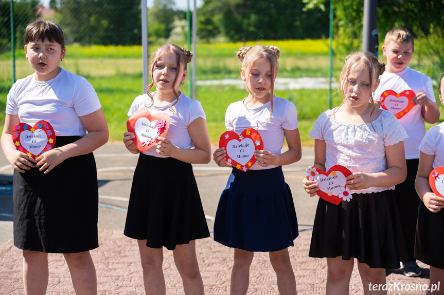 Piknik Rodzinny w Świerzowej Polskiej