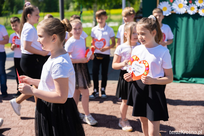 Piknik Rodzinny w Świerzowej Polskiej