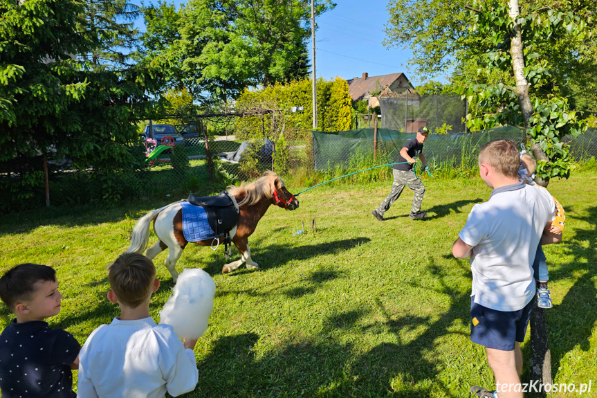 Piknik Rodzinny w Świerzowej Polskiej