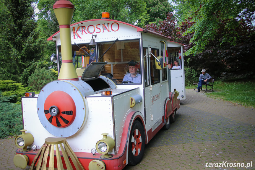 Piknik w Parku Jordanowskim w Krośnie