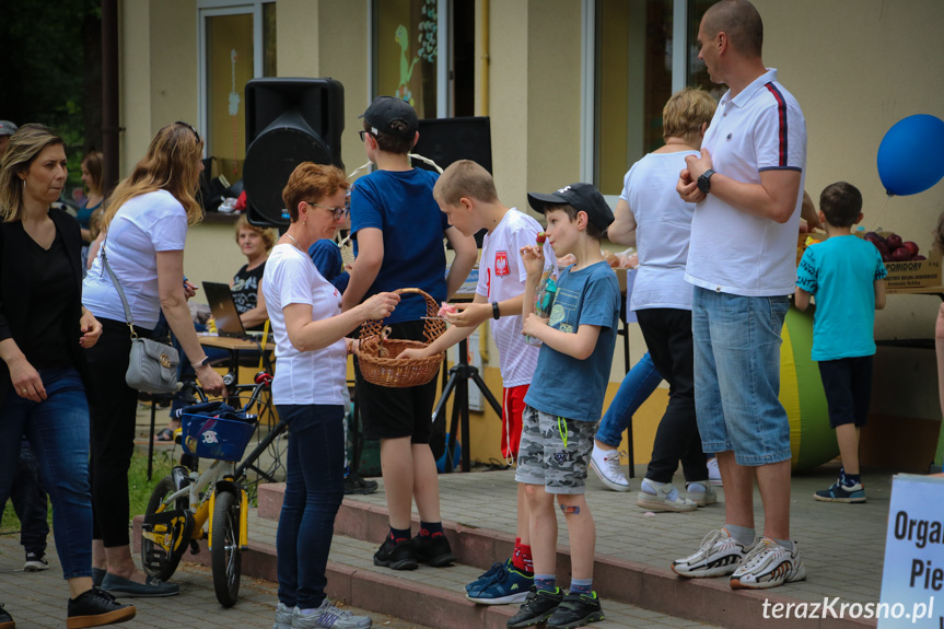 Piknik w Parku Jordanowskim w Krośnie