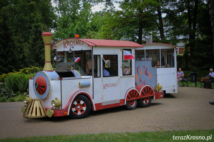 Piknik w Parku Jordanowskim w Krośnie