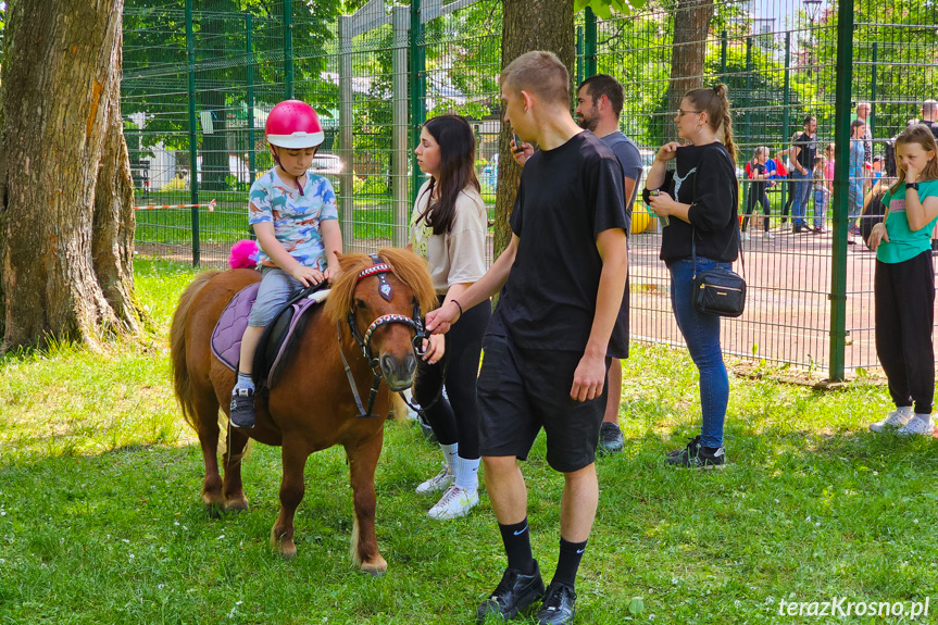 Piknik z okazji Dnia Dziecka w Krośnie