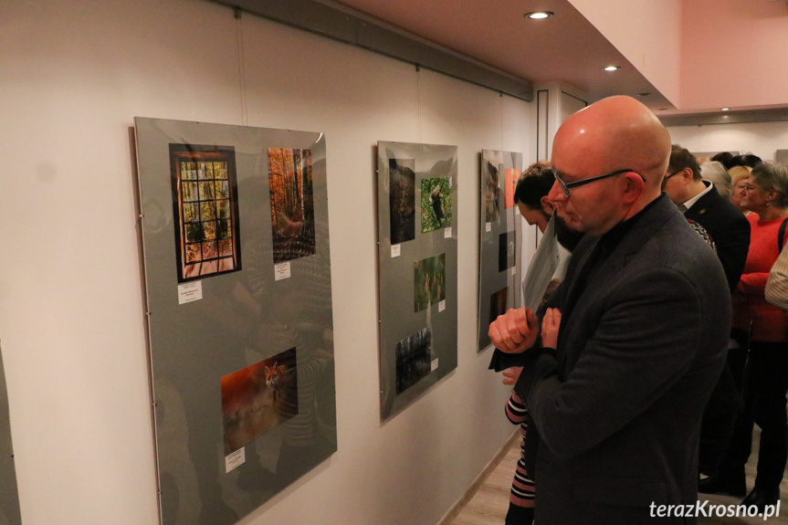 Podsumowanie konkursu Leśne Fotografie 2022