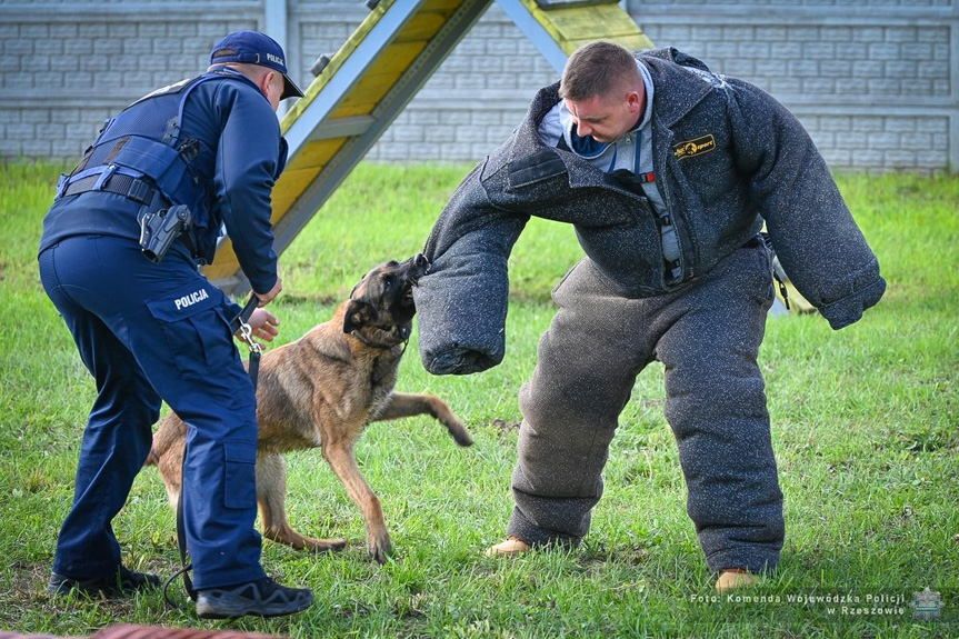 Policyjne psy z Podkarpacia zdały egzamin