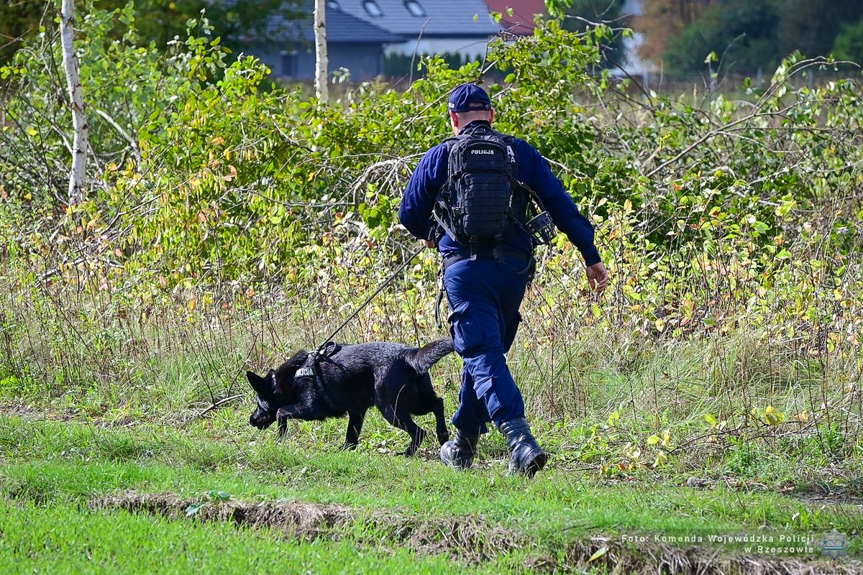 Policyjne psy z Podkarpacia zdały egzamin