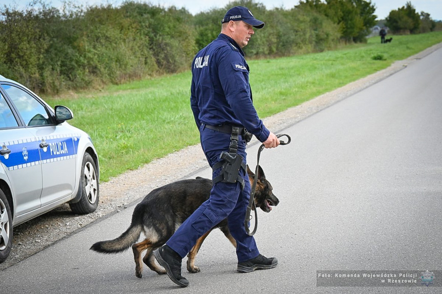 Policyjne psy z Podkarpacia zdały egzamin