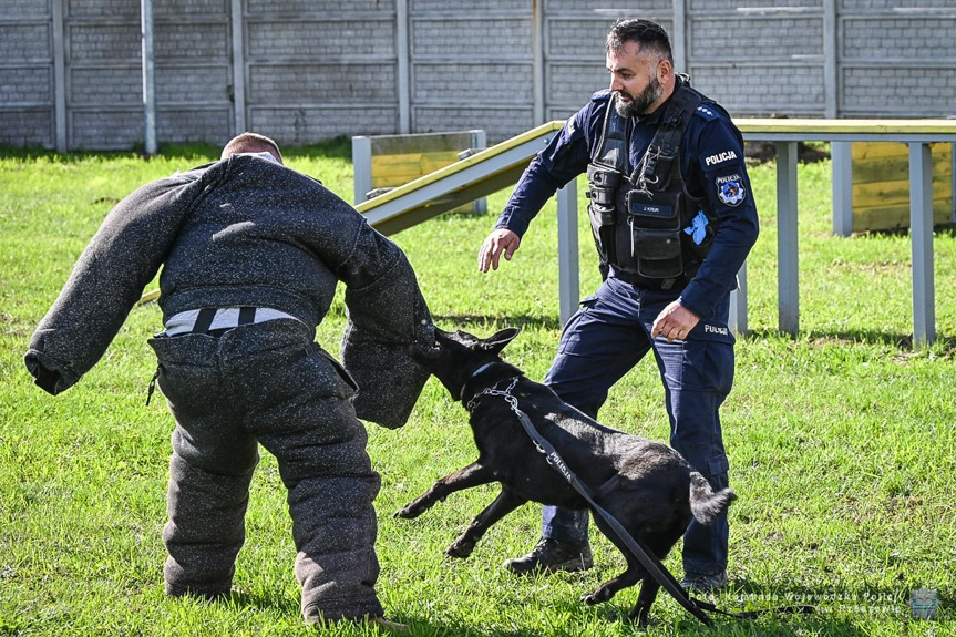 Policyjne psy z Podkarpacia zdały egzamin