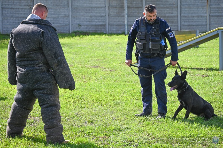 Policyjne psy z Podkarpacia zdały egzamin