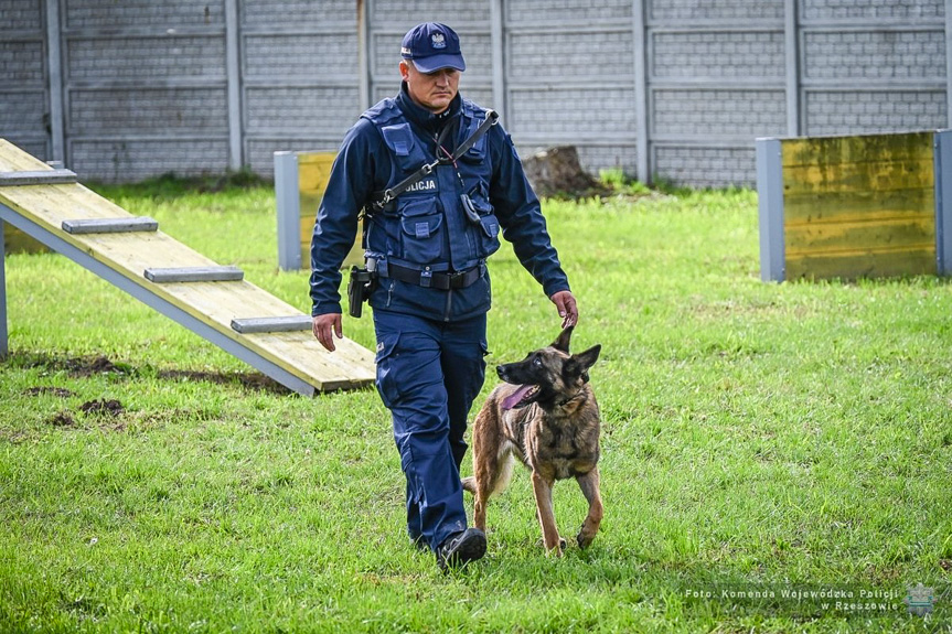 Policyjne psy z Podkarpacia zdały egzamin